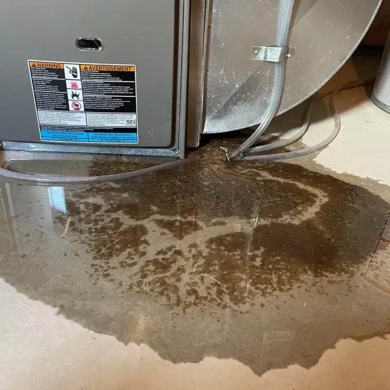 Appliance Leak Cleanup in Woodbury, NJ